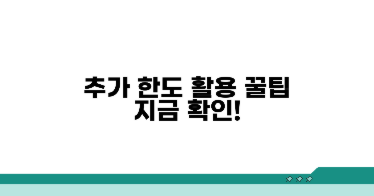 추가 한도 설정 활용법