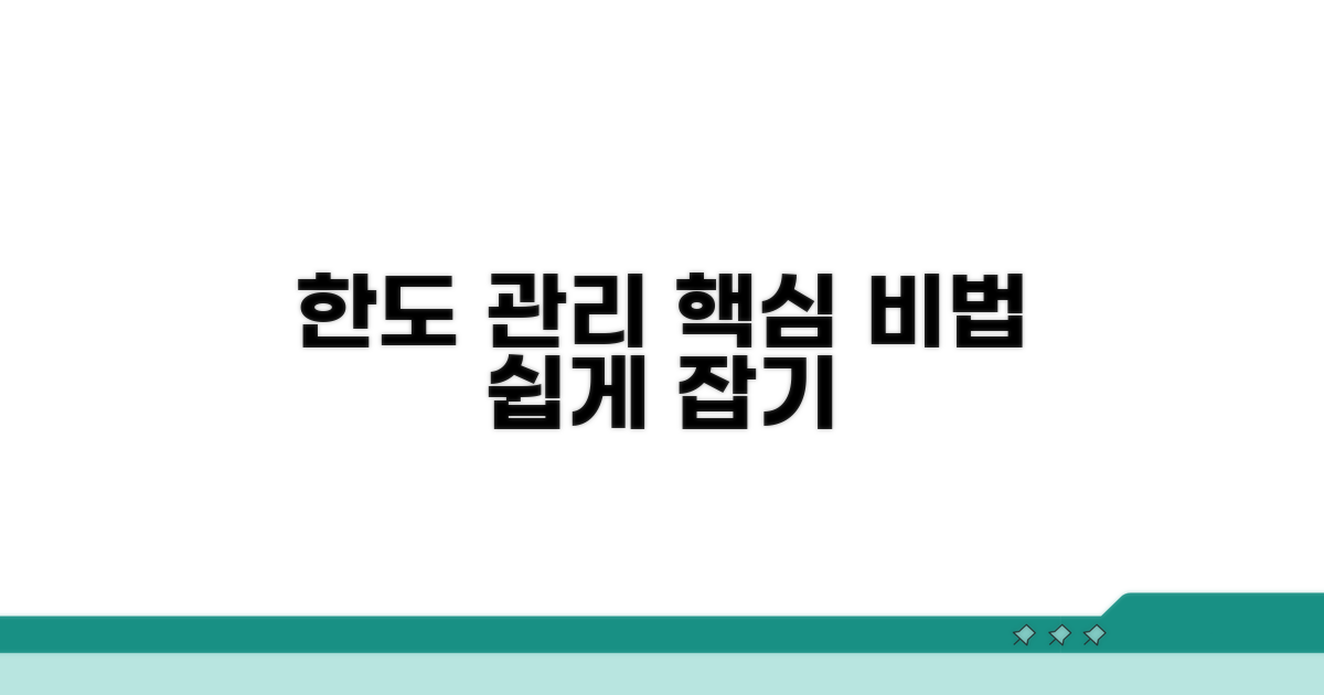 한도 관리 노하우와 팁