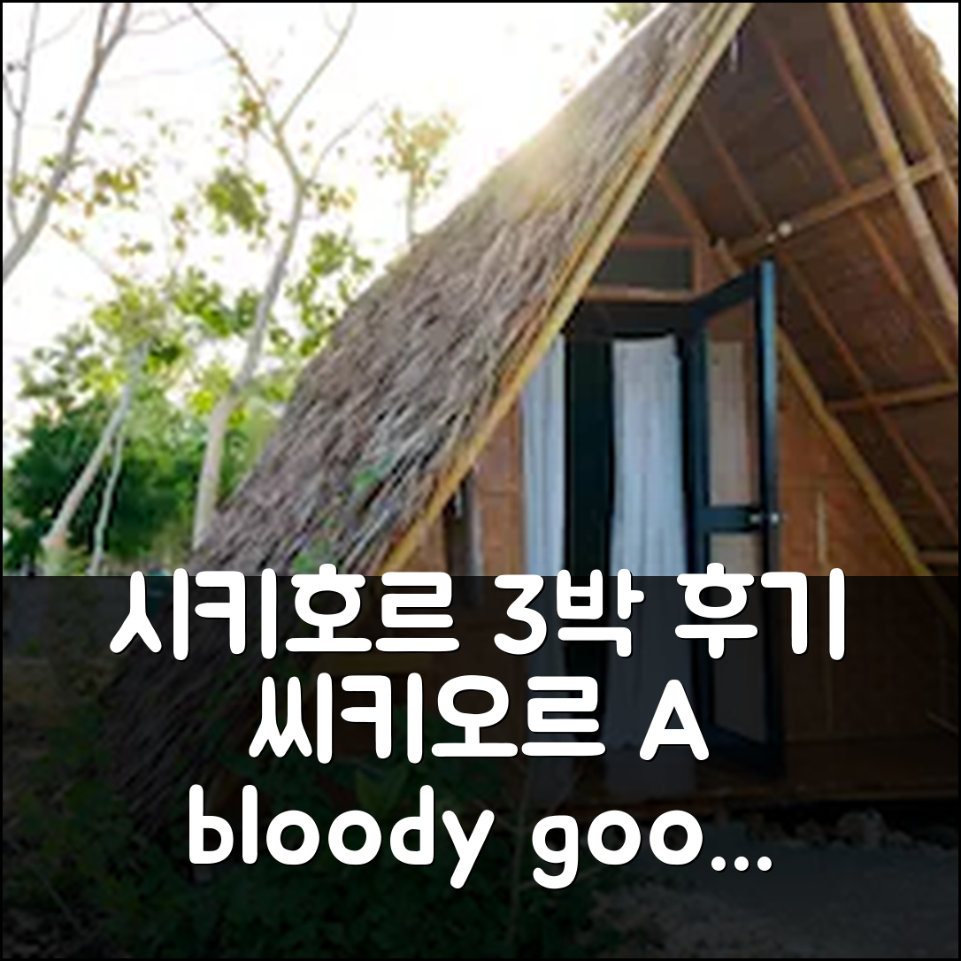 시키호르 아일랜드 씨-키-오르 카페 앤 호스텔 3박 숙박 후기