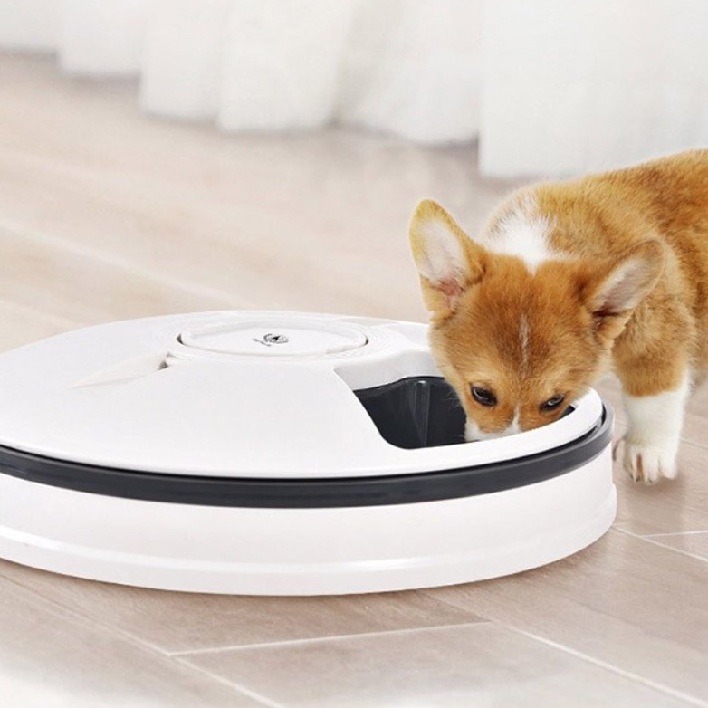 강아지 밥 주는 기계 강아지 사료 기계 자동 사료기 급식기 상세 이미지 1