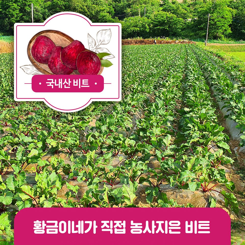 물없이 통째로 갈아만든 착즙 비트즙 100ml 30포 진액 엑기스 상세 이미지 1